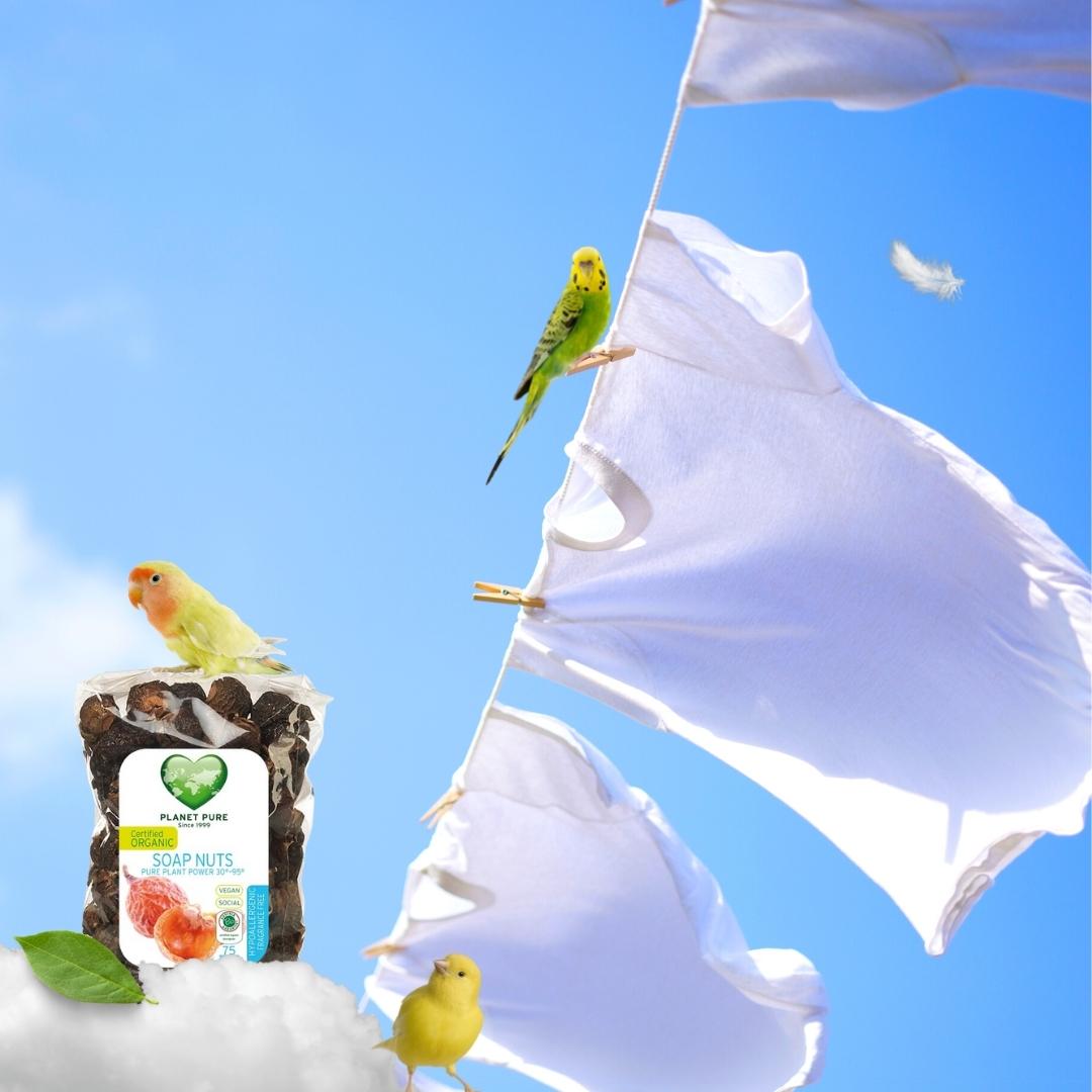 Hypoallergena valnötsskal för att tvätta kläder (som tvättvål) Tvättmedel Cocholate.se