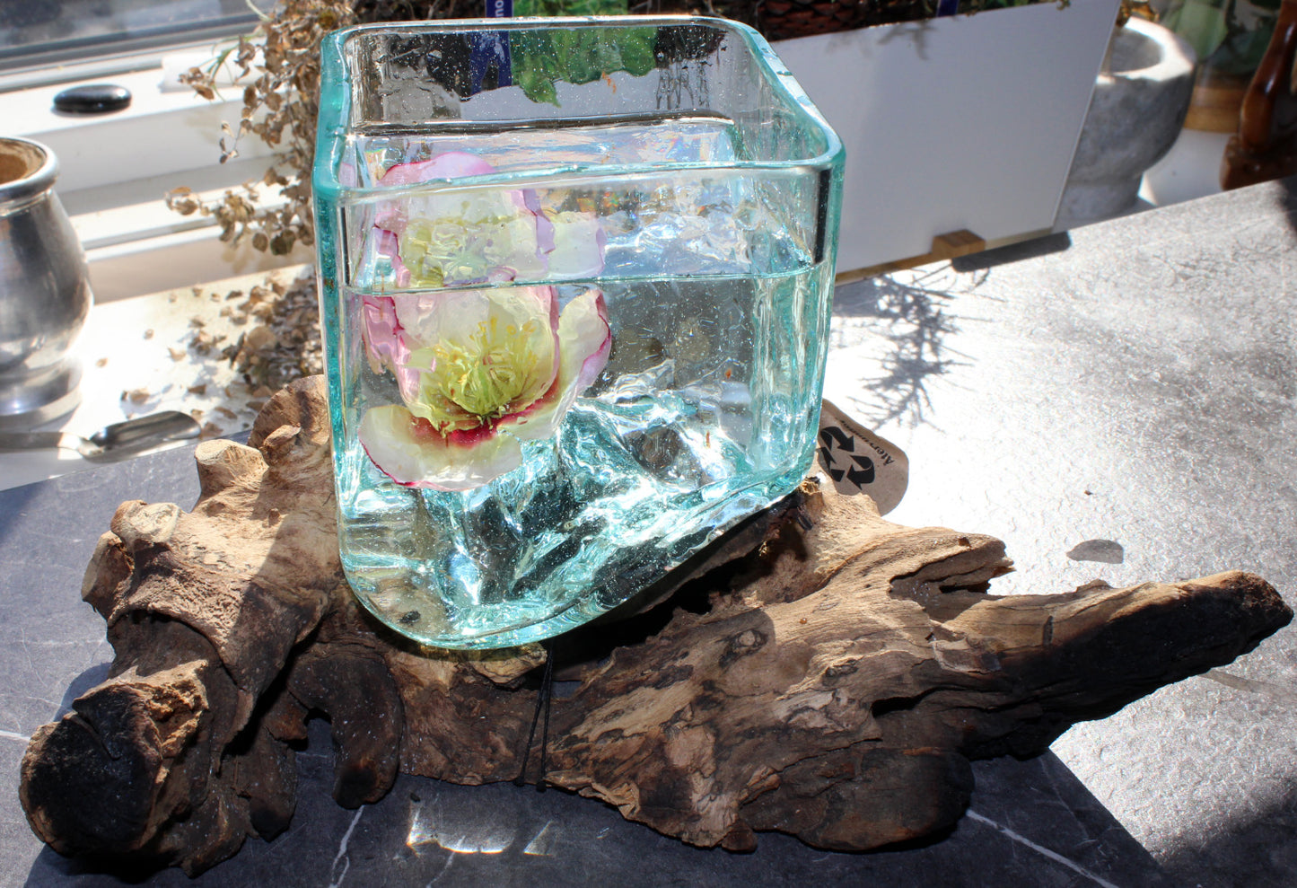 Glasskål fyrkant på trädrot Dekor Cocholate.se